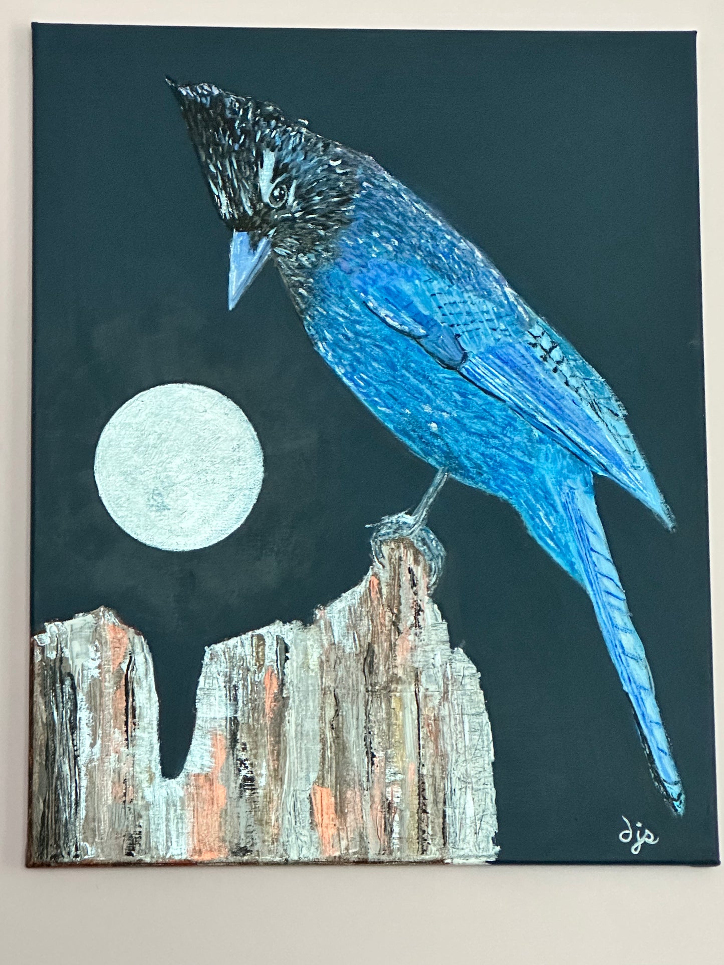 Stellar Jay Moon