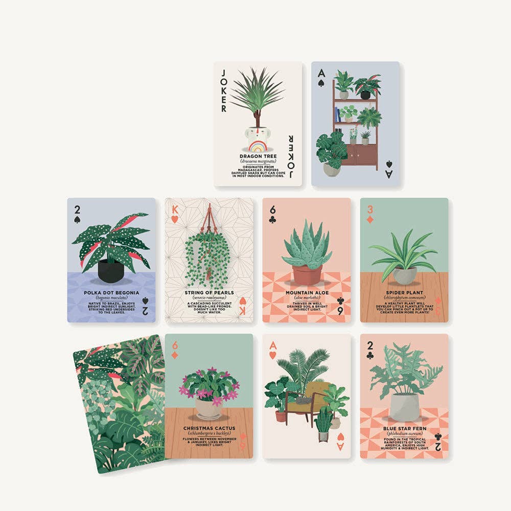 Houseplants Playing Cards CDU of 6
