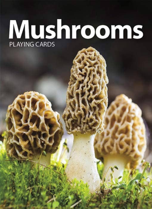 Mushrooms Playing Cards. Learn while you play. Full deck.