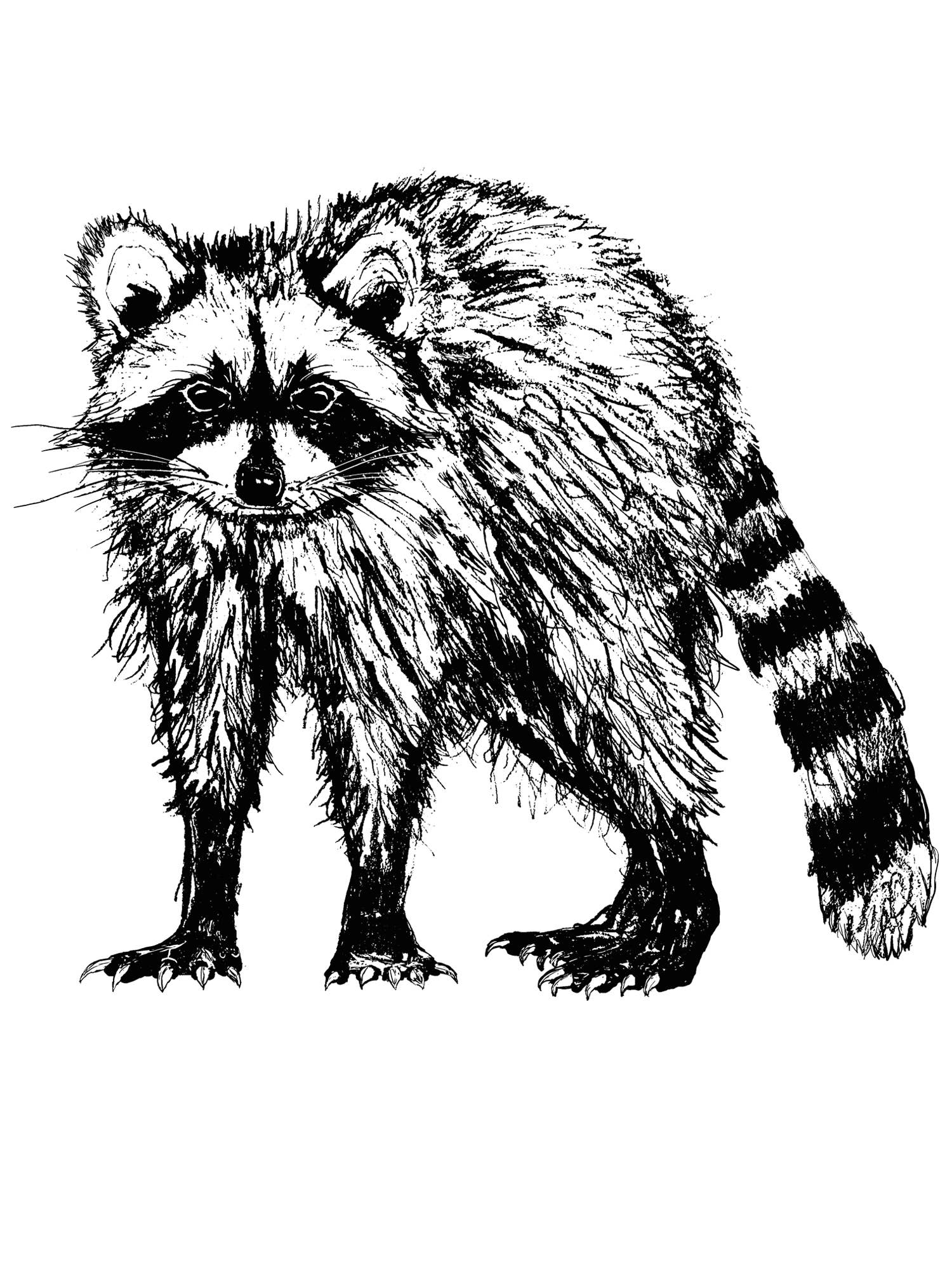Raccoon Maisie Heavyweight Muscle Tee