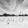Cape May Lighthouse print