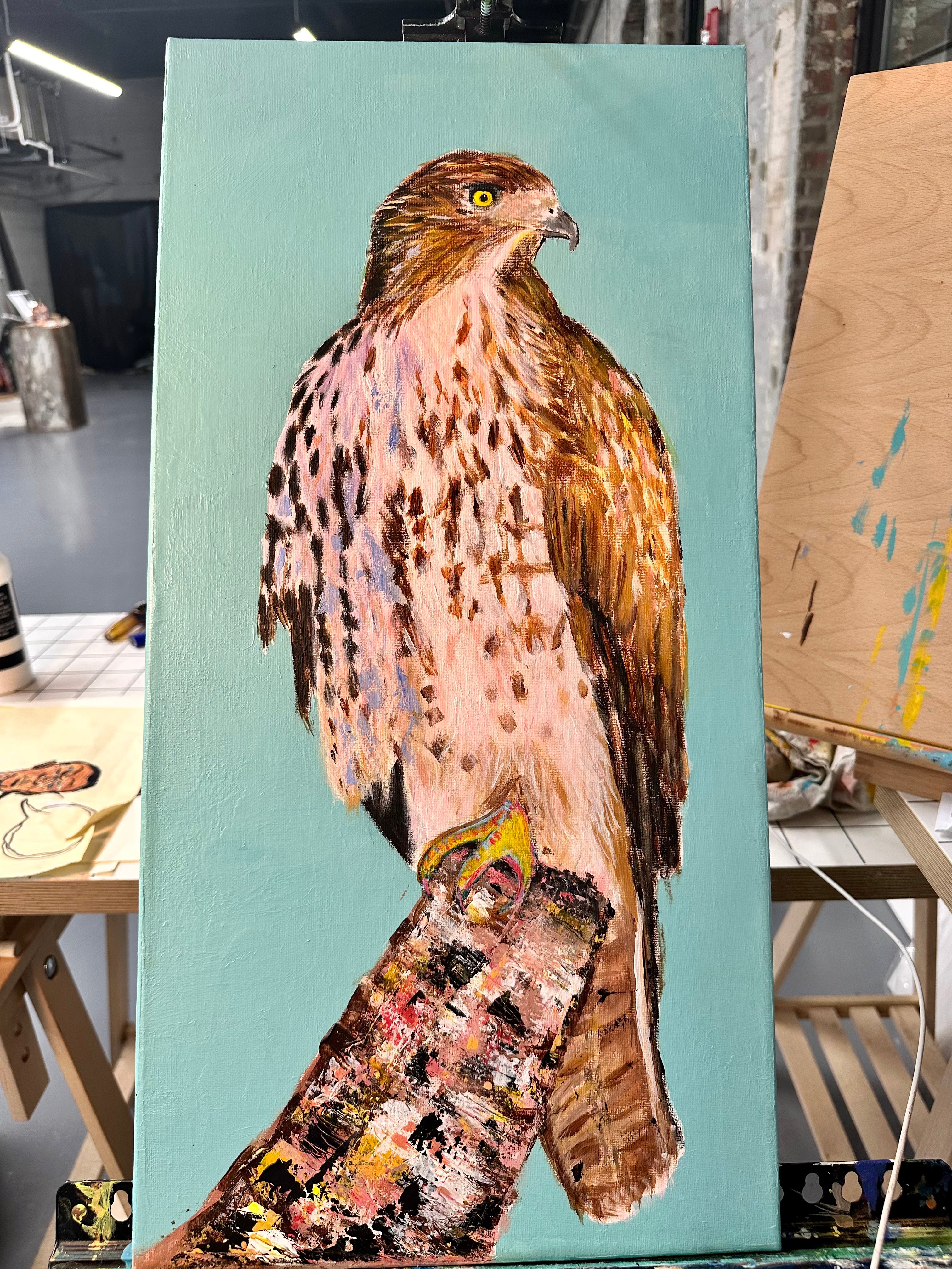 Cooper Hawk