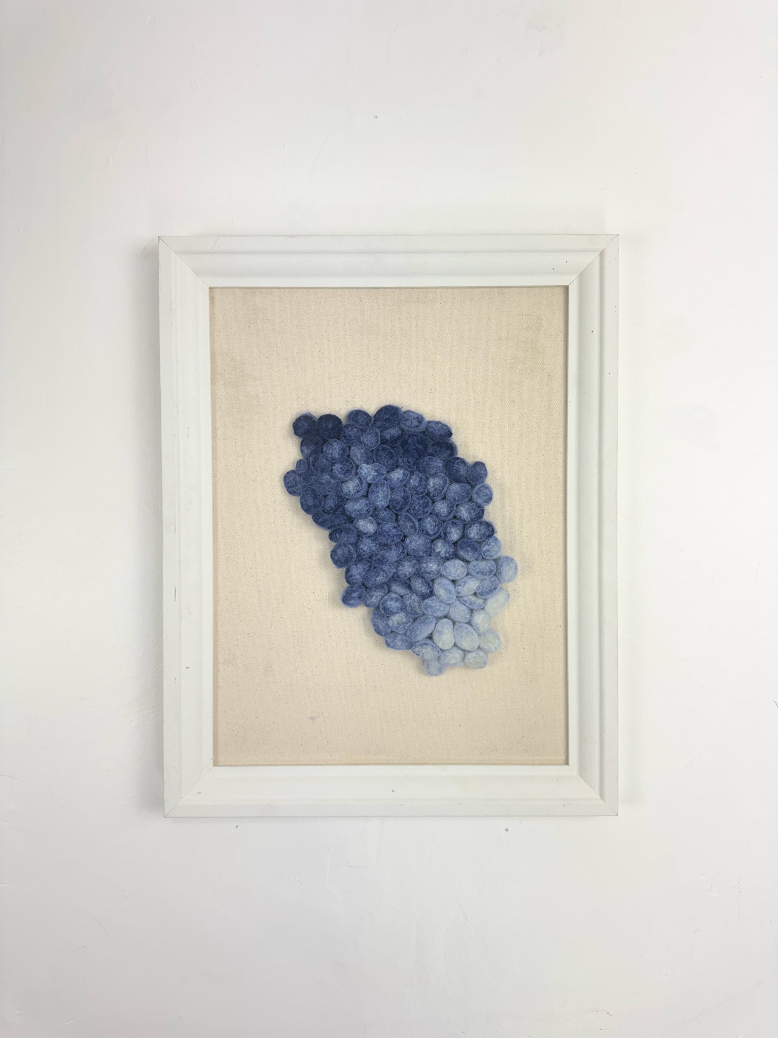 Coral 2