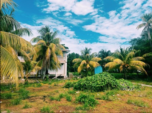Beautiful Belize