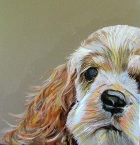 Spaniel