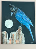 Stellar Jay Moon
