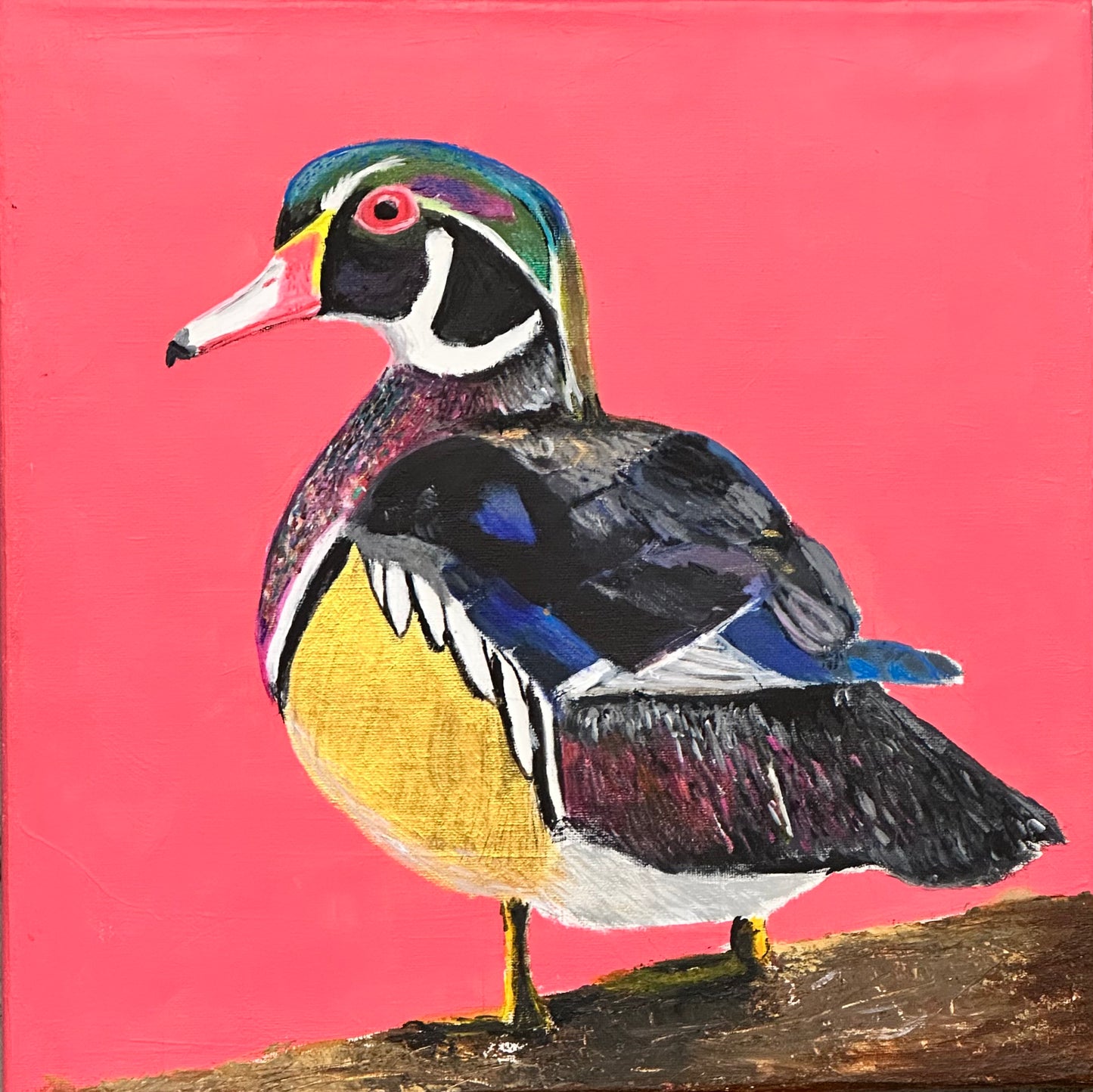 Wood Duck