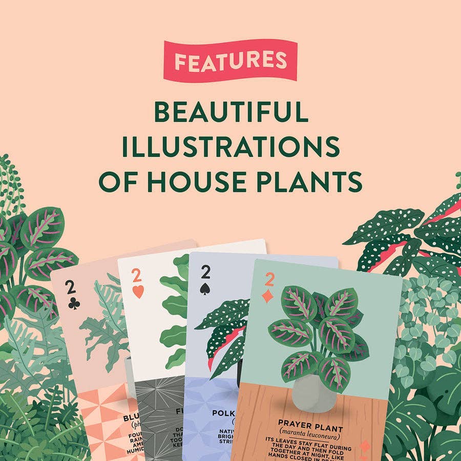 Houseplants Playing Cards CDU of 6