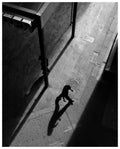 Walk Alone